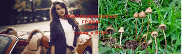 не бодяженный Богданович