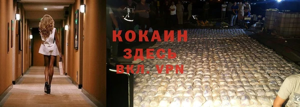 не бодяженный Богданович